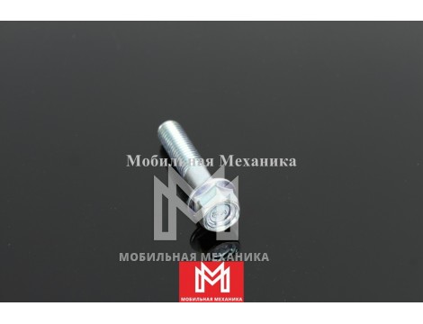 Болт 281510450