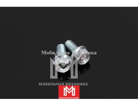 Болт 28162250