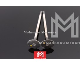 1125511620