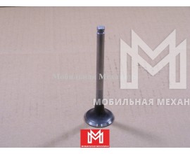Клапан выпускной 5125520340