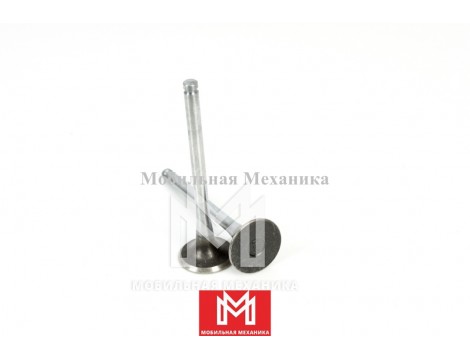 Клапан выпускной 5125520342