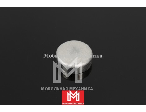 Заглушка 8110560930