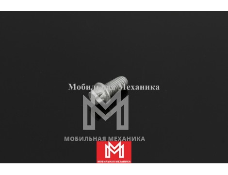 Болт с шестигранной головкой 8110948810