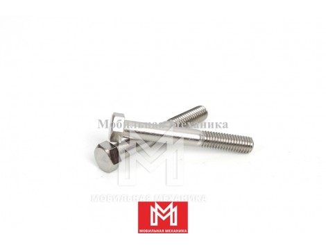 Болт крепления охладителя ЕГР Isuzu8981586040