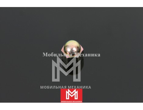 Гайка 9-09844022-0