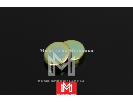 Заглушка 9-11219005-0