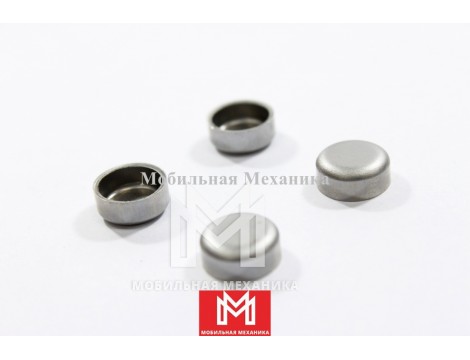 Заглушка Блока Цилиндров 9126260050